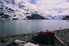 Alaska - Glacier bay - bivouac on a bank of Johns Hopkins inlet - photo by E.Petitalot