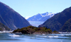 Alaska's Inside Passage - Tracy Arm Fjord : islet near the South Sawyer Glacier (photo by Robert Ziff)