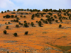 Vlor county, Albania: landscape between Dhermi and Qeparo - photo by J.Kaman