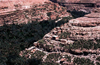 Algrie - Roufi / Rhoufi: oasis dans une gorge - balcons de Roufi - photographie par C.Boutabba