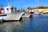 Cherchell - Tipasa wilaya, Algeria / Algrie: harbour - prows | port - traves - photo by M.Torres