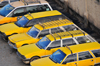 Algiers / Alger - Algeria: Peugeot shared taxis near the central train station | taxis collectifs Peugeot  proximit de la gare centrale - photo by M.Torres