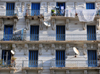 Algiers / Alger - Algeria: white and blue faade with drying linen and satellite dishes - 'Algiers the White - Pasteur av. | faade blanc et bleu avec antennes paraboliques et schage du linge - 'Alger la Blanche' - avenue Pasteur - photo by M.Torres