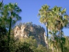 Australia - Carnarvon Gorge NP (Queensland): walk to the Cathedral - photo by Luca Dal Bo