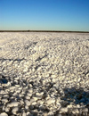 Australia - Shell Beach CP (WA) - photo by Luca dal Bo