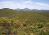 Australia - Stirling Range NP (WA) - photo by Luca dal Bo