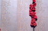 Australia - Canberra (ACT): Australian war memorial - war dead names and poppies -  Memorial plaques(photo by M.Torres