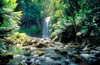 Beech Forest, Victoria, Australia: Hopetoun Falls - photo by G.Scheer