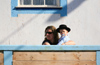 Azores / Aores - Terceira - Raminho -  concelho de Angra do Herosmo: bull run - spectators - tourada  corda - terceirense - photo by A.Dnieprowsky