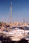 Majorca / Mallorca / Maiorca / PMI: Palma de Majorca - boats along Paseo Maritimo - Cathedral in the background (photographer: Miguel Torres)