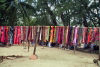 Barbados - near Bridgetown: hand dyed bikini wraps on a beach (photo by Michael Gunselman)