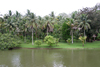 Belize - Benque Viejo del Carmen, Cayo District: Mopan River view - photo by C.Palacio