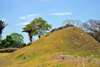 Altun Ha Maya city, Belize District, Belize: temple A-5, largely un-excavated - Plaza A - photo by M.Torres