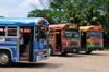 San Ignacio, Cayo, Belize: transportation to Spanish Lookout, a Mennonite town - Blue Bird buses - photo by M.Torres