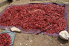 Bhutan - Paro dzongkhag - Drukgyel village - Red chili peppers drying - photo by A.Ferrari