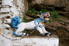 Bhutan - snow lion statue, guarding the entrance of Chari Goemba - photo by A.Ferrari