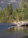 Canada / Kanada - Skagit river near Hope (BC) - photo by Rick Wallace