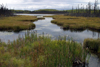 Canada / Kanada - Saskatchewan: peaceful lake - photo by M.Duffy