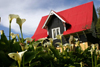 Valdivia, Los Ros, Chile: red roof cottage - photo by N.Cabana