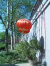 China - Beijing: hutong area - lantern lamps outside a restuarant (photo by Fiona Hoskin)