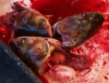 China - fish heads at a fishmonger (photo by G.Friedman)