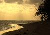 Cook Islands - Rarotonga island: Titikaveka beach - sunset - the South Coast is the quietest stretch of coastline - photo by B.Goode