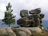 Corsica - Lozzi area: eroded rocks and lone pine (photo by J.Kaman)