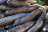 Costa Rica - Alajuela province: yuca at a roadside market - cassava - mandioca - photo by H.Olarte