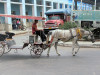 Cuba - Coln - Matanzas Province: caleche - photo by L.Gewalli