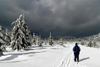 Czech Republic - Krkonose mountains - Krkonose mountains: cross-country ski - - Krkonose National Park - KRNAP - UNESCO Biosphere reserve - photo by J.Kaman