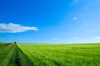 Czech Republic - Holesov: farming fields - agriculture - Moravia, Central Europe (photo by P.Gustafson)