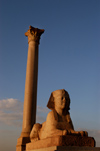 Egypt - Alexandria: Pompey's Pillar - 25m red Aswan granite column in honor of the Emperor Diocletain - the Sarapeion (photo by John Wreford)