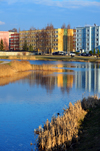 Valga, Estonia: reeds on the banks of the Pedeli river, with Soviet period apartment blocks in the background - river reflection - photo by M.Torres