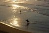 Donostia-San Sebastin, Gipuzkoa province, Euskadi: Zurriola Beach- surfers on a golden beach - photo by J.Zurutuza