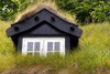 Trshavn, Streymoy island, Faroes: roof window of a Faroese house - green roof using sod on top of several layers of birch bark - photo by A.Ferrari