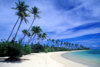 Malolo Lailai island, Viti Levu, Fiji: a beautiful white sand beach lined with coconut trees on the resort island of Malolo Lailai off the coast of Viti Levu - photo by C.Lovell