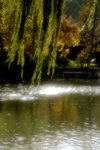 La Varenne, Val-de-Marne, Ile-de-France: sun sparks on the river Manre - photo by Y.Baby