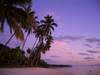 French Polynesia - Moorea / MOZ (Society islands, iles du vent): palms and lagoon at dusk - photo by R.Ziff