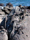 Galapagos Islands: crater on Bartholome island - isla Santiago - photo by R.Eime