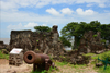 James Island / Kunta Kinteh island, The Gambia: British 18h century cannon and the ruins of Fort James - UNESCO world heritage site - photo by M.Torres