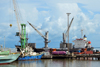 Banjul, The Gambia: unloading a bulk carrier freighter - the port of Banjul handles most of the Gambia's external trade as well as that of Casamance - river Gambia estuary - photo by M.Torres