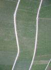 Wrzburg Kreis, Lower Franconia, Bavaria, Germany: vineyards outside Eibelstadt - from the air - photo by D.Steppuhn