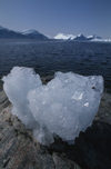 Greenland - Ilulissat / Jakobshavn - ice melting on shore - Jakobshavn Glacier, part of the Ilulissat Icefjord<br>  - photo by W.Allgower