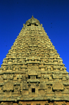 India - Tanjore / Thanjavur (Tamil Nadu): Gopuram at Brihadeeswarar temple - part of the UNESCO World Heritage Site Great Living Chola Temples - religion - Hinduism - photo by W.Allgwer