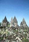 Java - Prambanan, Yogyakarta: the temple and the cliff - photo by M.Sturges