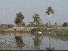 Iraq - Shatt al-Arab river  - the Tigris + the Euphrates (Al Basrah province) (photo by A.Slobodianik)