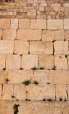 Jerusalem, Israel: Wailing wall / Western Wall /Kotel Ha-Ma'aravi - believed to have been erected around around 19 BC by Herod the Great - limestone ashlars - muro das lamentaes - Mur des Lamentations - Klagemauer - photo by M.Torres