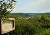 Israel - Neot Kdumim: olive branch and landscape - photo by E.Keren