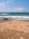 Israel - Kibbutz Sdot Yam: pebbles of the Mediterranean sea - stones - photo by Efi Keren