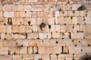 Jerusalem,  Israel: Wailing wall / Western Wall / the Kotel - remnant of the ancient wall that surrounded the Jewish Temple's courtyard, at the foot of the western flank of the Temple Mount (Har haByith) - muro das lamentaes - Mur des Lamentations - Klagemauer - photo by M.Torres